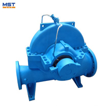 Cast Iron Flood Drain Axial Horizontal Split Case Agriculture Drainage Water Pump